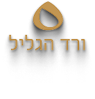 ורד הגליל